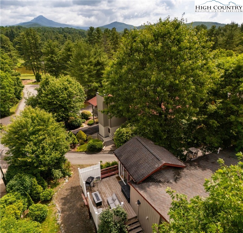 335 Snowshoe Loop Newland, NC 28657 - Photo 2 of 24