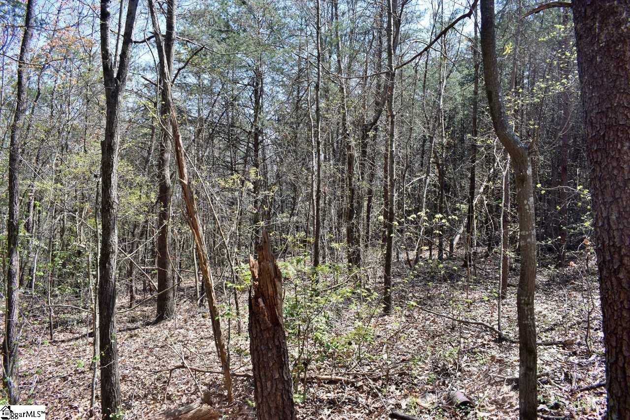 42 Bethany Road Travelers Rest, SC 29690 - Photo 26 of 31