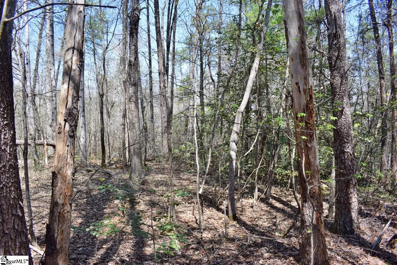 42 Bethany Road Travelers Rest, SC 29690 - Photo 27 of 31