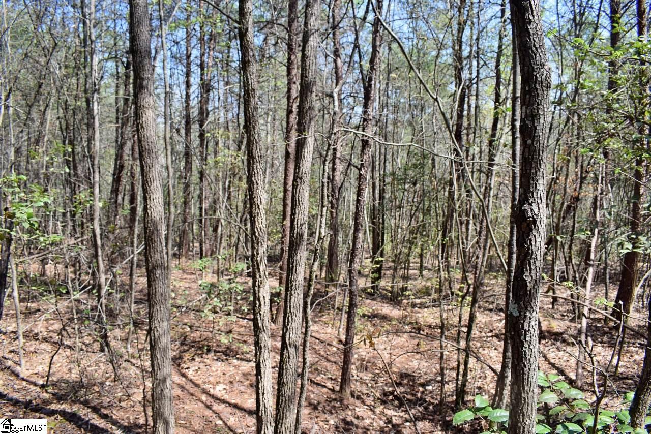 42 Bethany Road Travelers Rest, SC 29690 - Photo 28 of 31