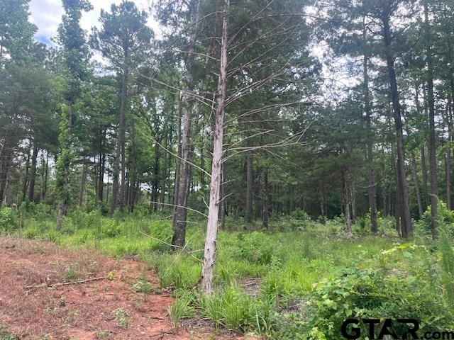 Tbd High Pnes Drive Tyler, TX 75708 - Photo 5 of 11 a view of outdoor space and green space