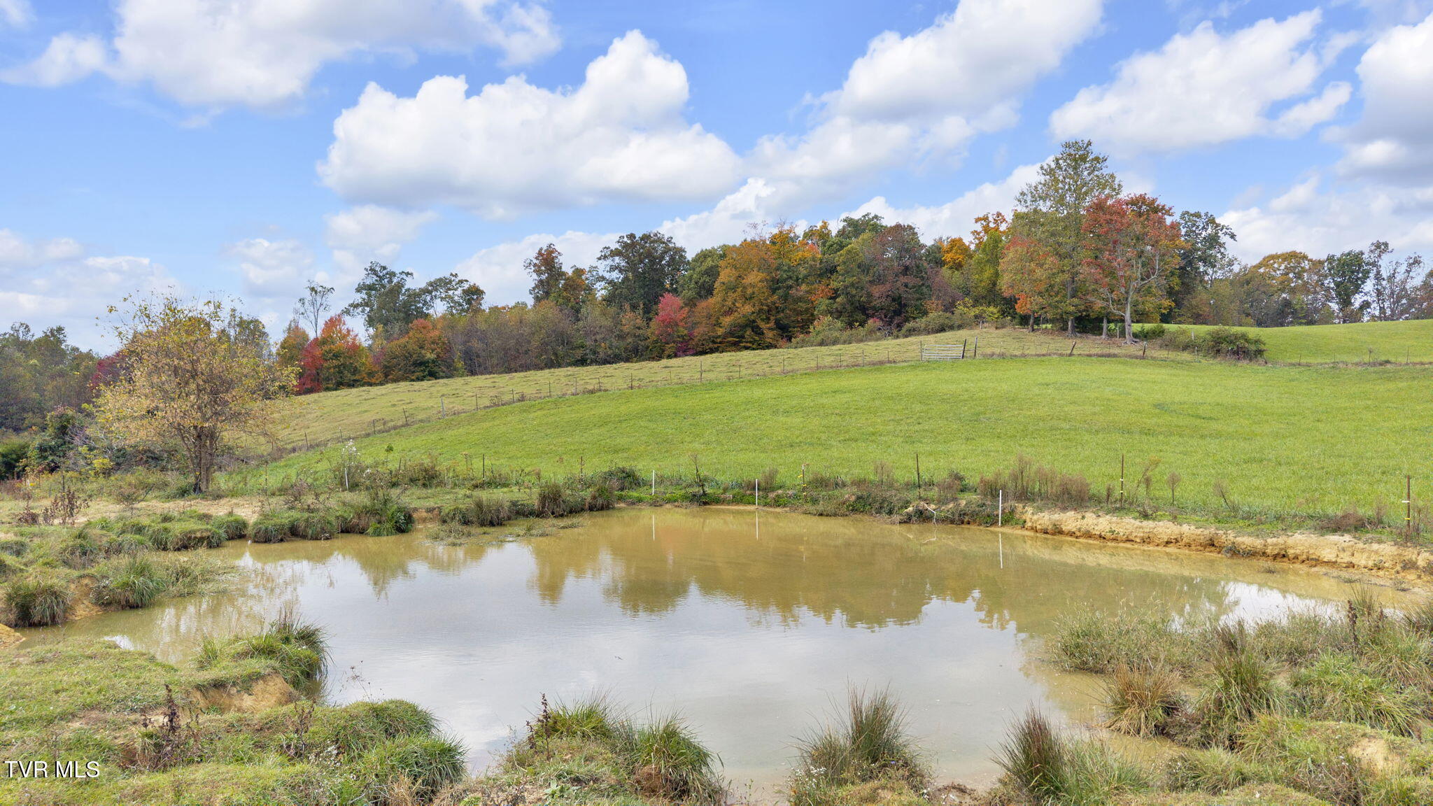 0 Matson Road Jonesborough, TN 37659 - Photo 5 of 19 17-web-or-mls-DJI_20251021142358_0364_D