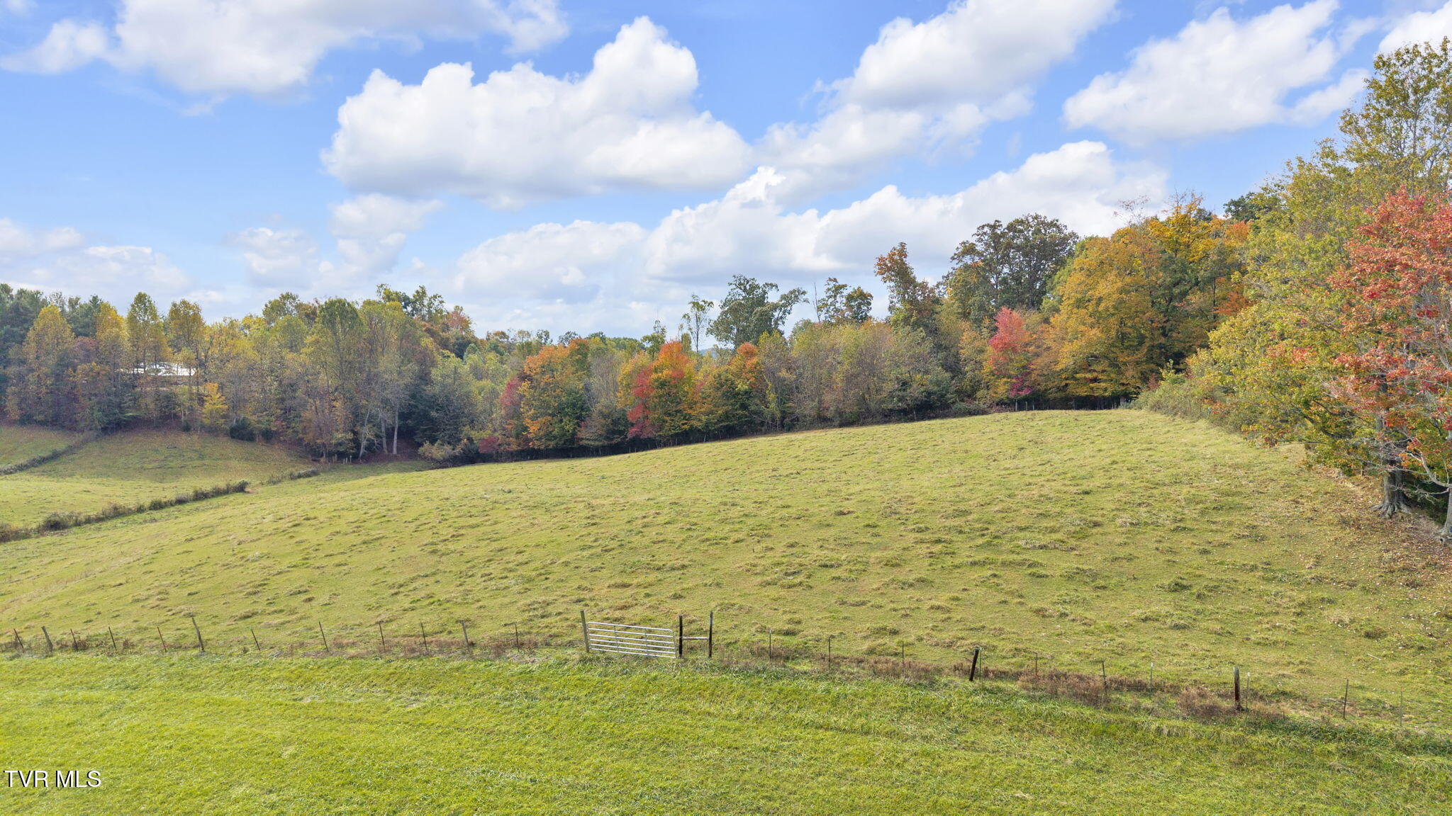 0 Matson Road Jonesborough, TN 37659 - Photo 7 of 19 14-web-or-mls-DJI_20251021142558_0388_D