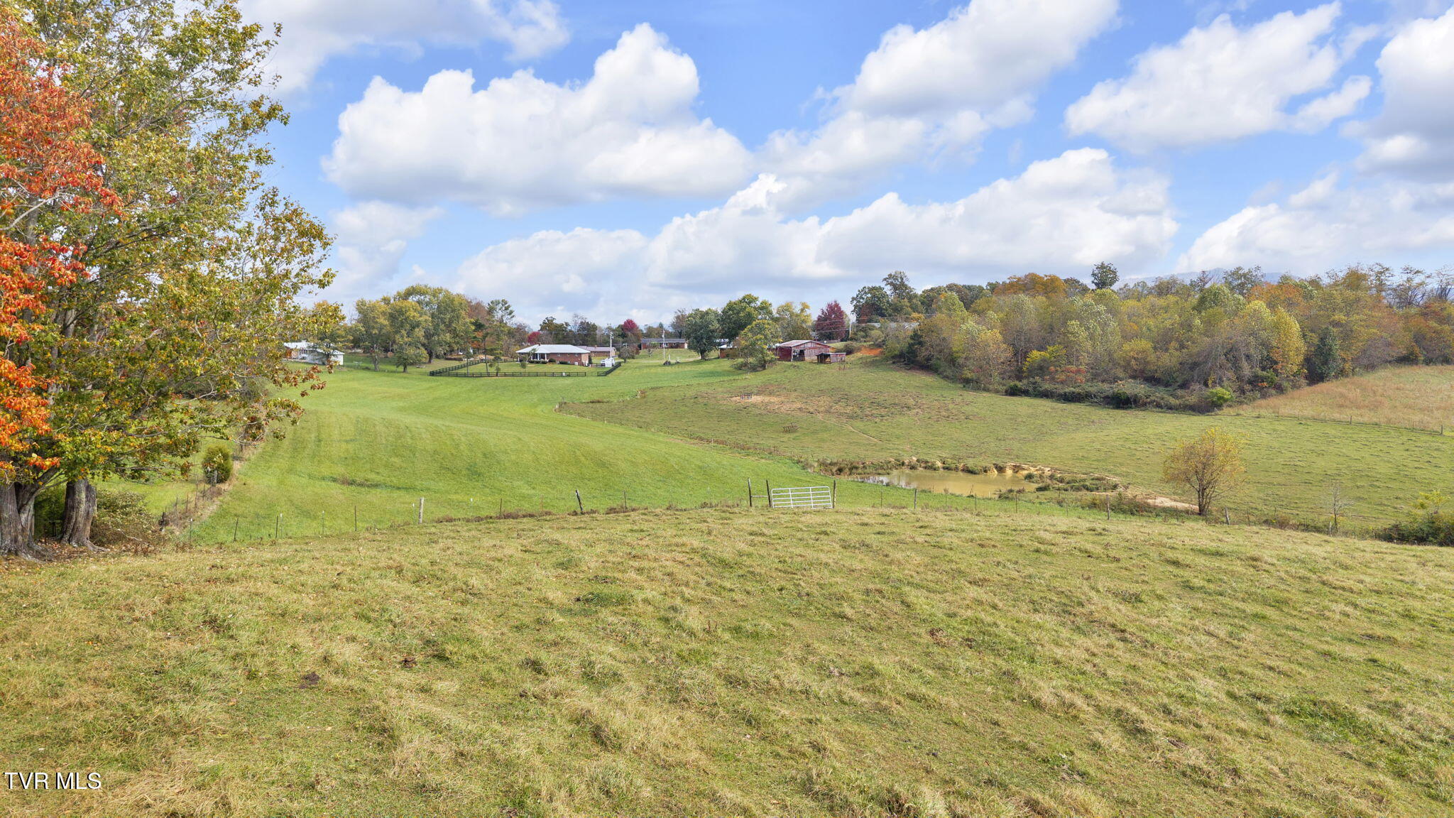 0 Matson Road Jonesborough, TN 37659 - Photo 8 of 19 19-web-or-mls-DJI_20251021142542_0382_D