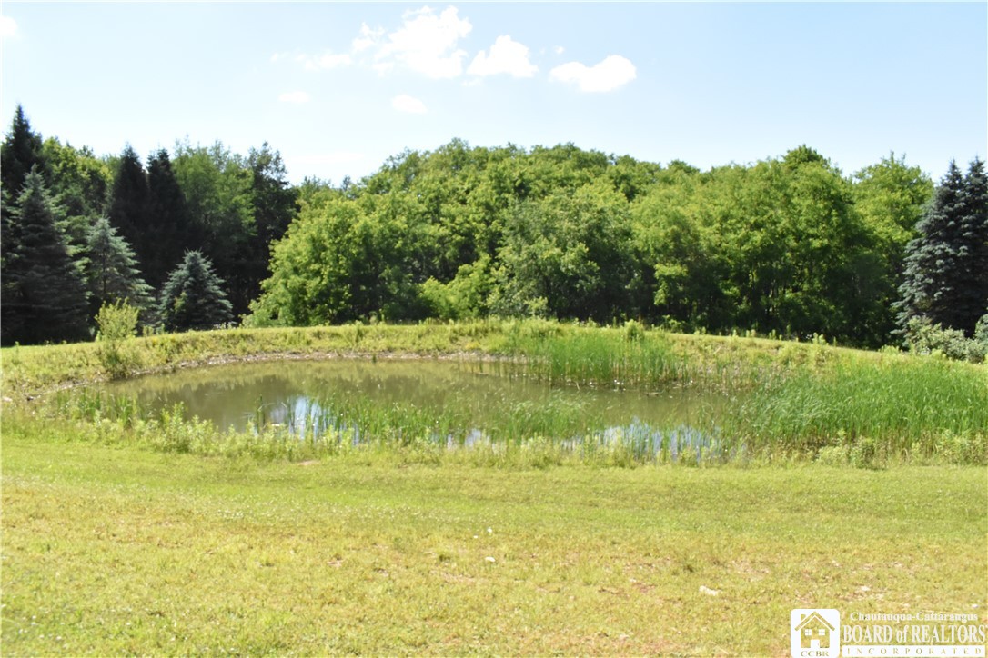 9504 Forty Road Cattaraugus, NY 14719 - Photo 4 of 38