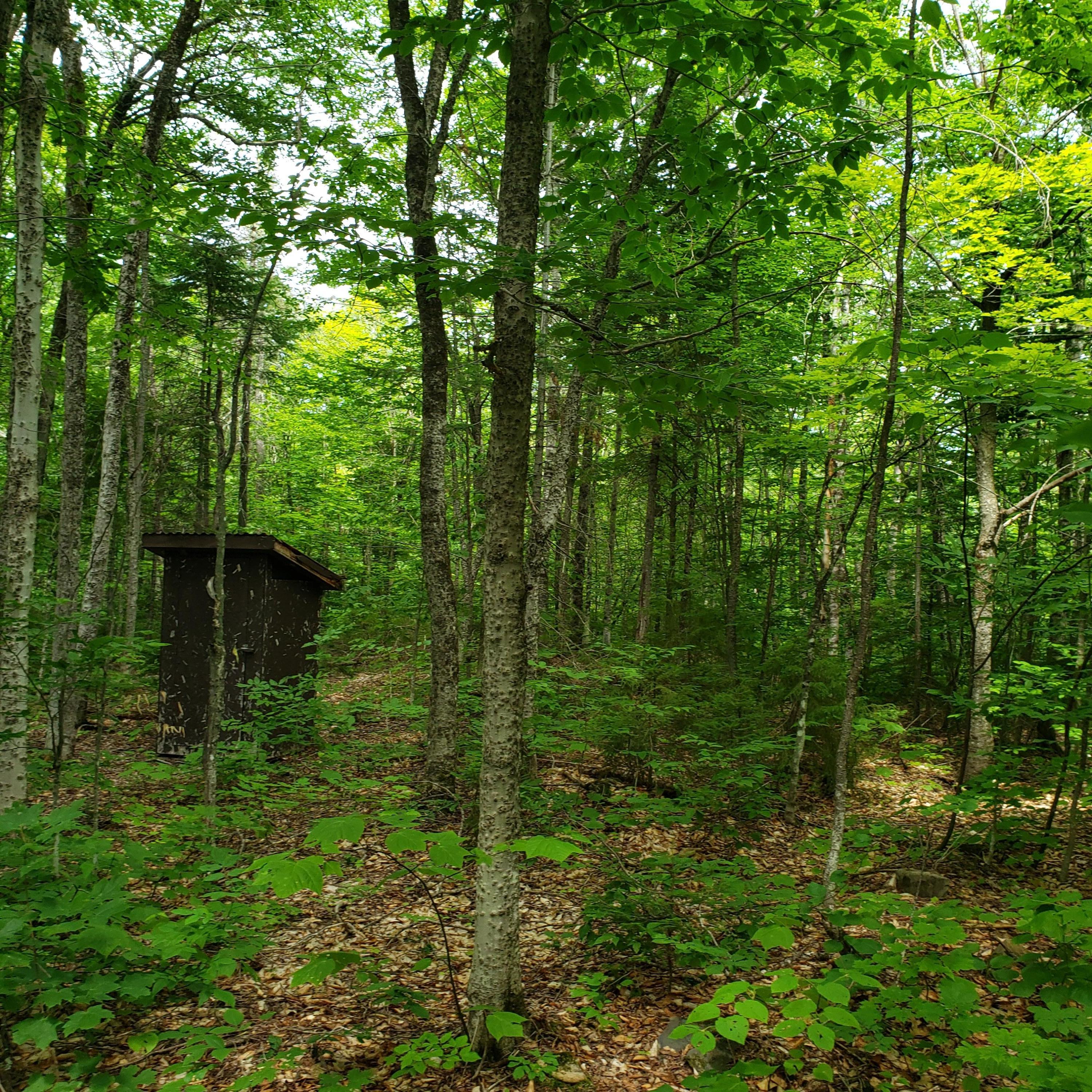 4251 West Chapman Road Mapleton, ME 04757 - Photo 20 of 25 Privy