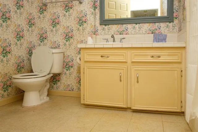 a bathroom with a sink a toilet and a mirror