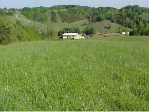 1121 Little Warrensburg Road, Unit 1 Midway, TN 37809 - Photo 3 of 9 Photo 3