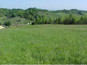1121 Little Warrensburg Road, Unit 1 Midway, TN 37809 - Photo 4 of 9 Photo 4