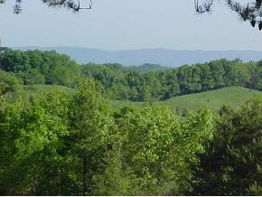 1121 Little Warrensburg Road, Unit 1 Midway, TN 37809 - Photo 5 of 9 Photo 5