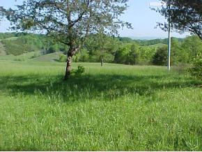 1121 Little Warrensburg Road, Unit 1 Midway, TN 37809 - Photo 7 of 9 Photo 7