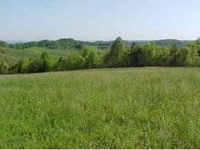 1121 Little Warrensburg Road, Unit 1 Midway, TN 37809 - Photo 8 of 9 Photo 8