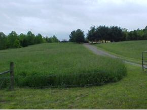 1121 Little Warrensburg Road, Unit 1 Midway, TN 37809 - Photo 9 of 9 Photo 9