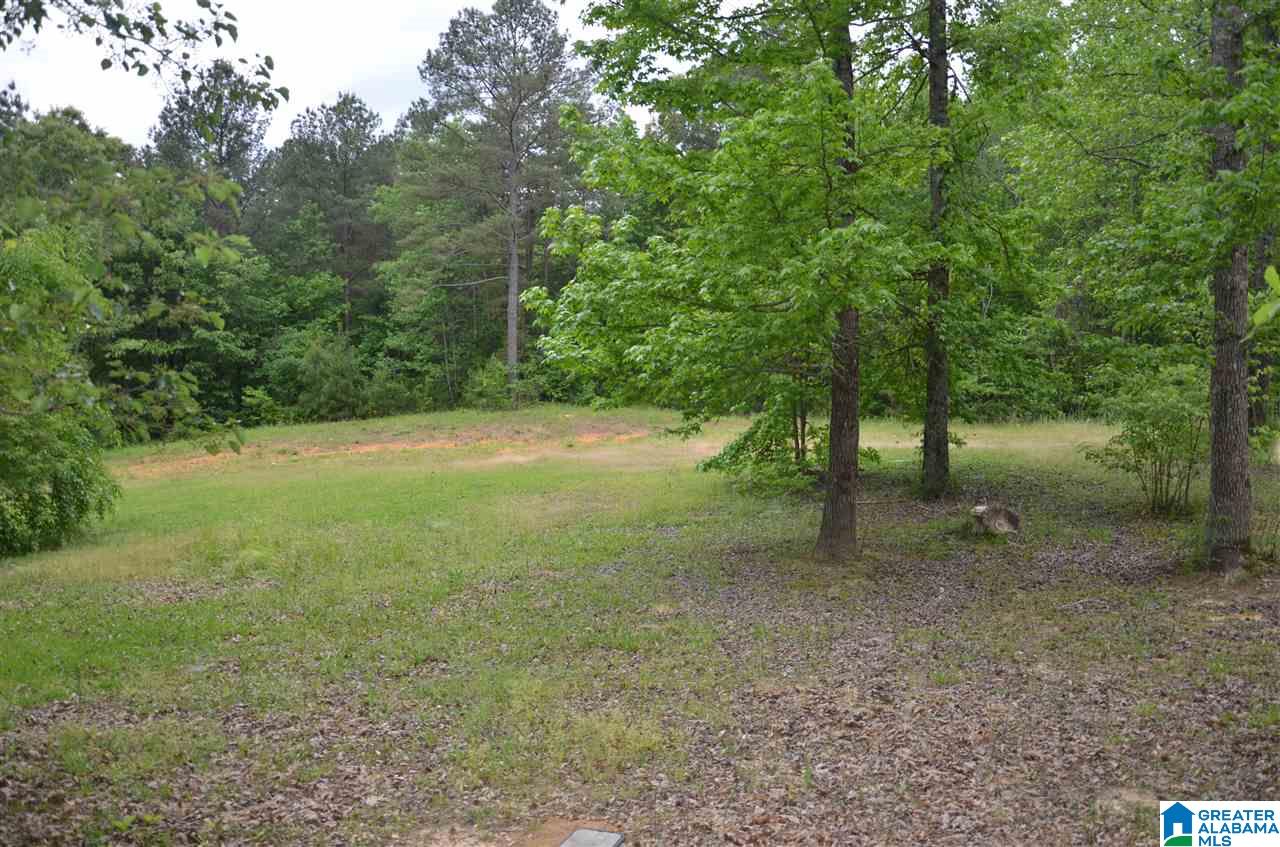 5081 Bluff Creek Ridge Adamsville, AL 35005 - Photo 4 of 28