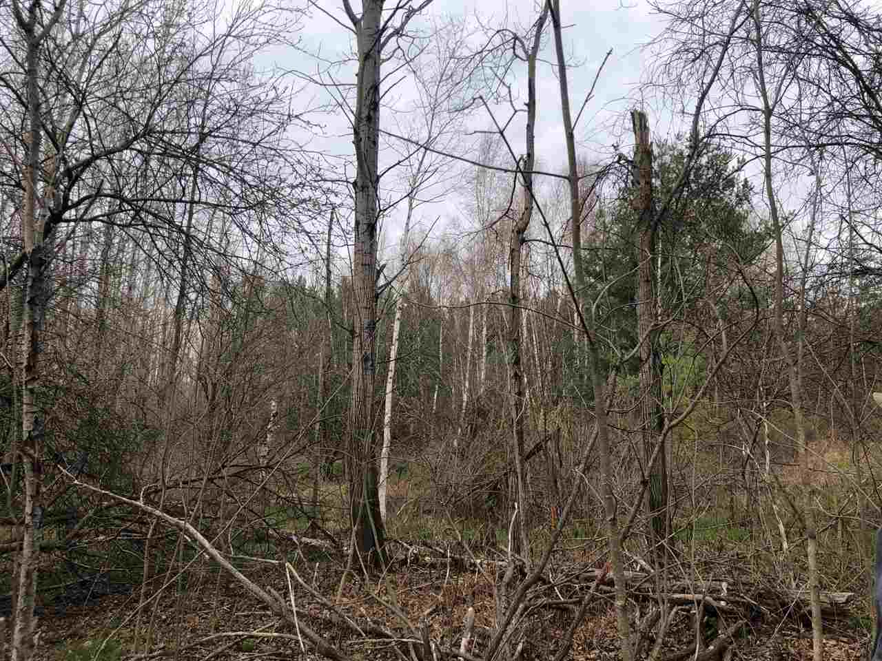 40-acres East Cranberry Lake Road Harrison, MI 48625 - Photo 10 of 21