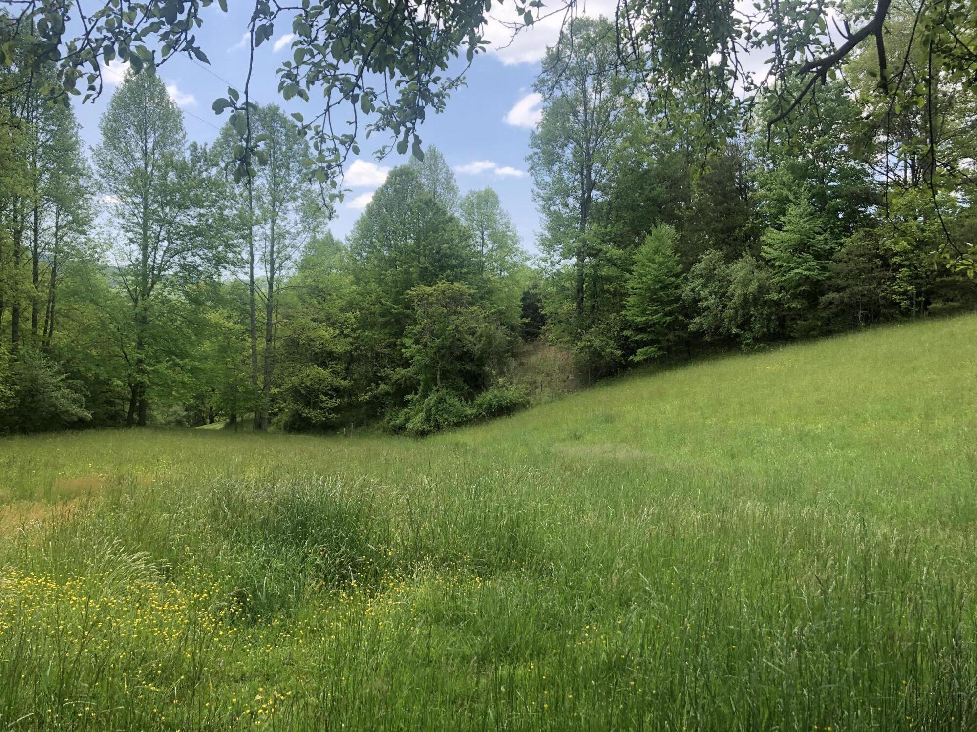 144 Whittemore Road Hampton, TN 37658 - Photo 2 of 8 8D7EB9EE-301B-4812-BF0B-59EC68F936A5