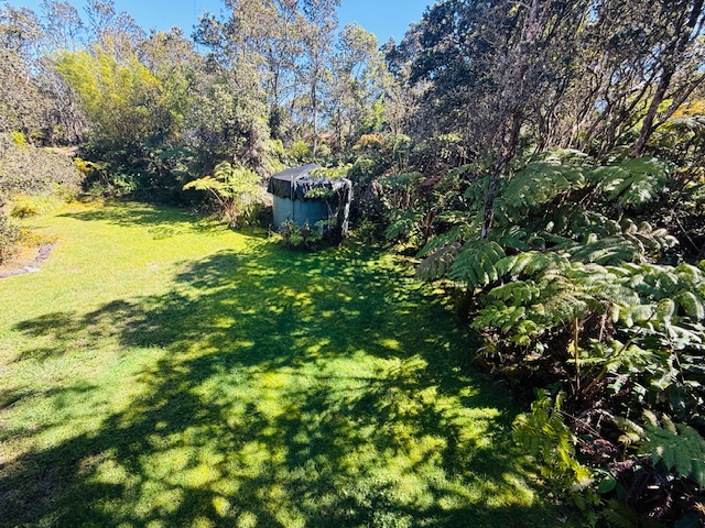 11-3763 10th Street Volcano, HI 96785 - Photo 16 of 28 a view of a garden with plants