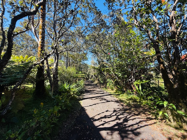 11-3763 10th Street Volcano, HI 96785 - Photo 27 of 30
