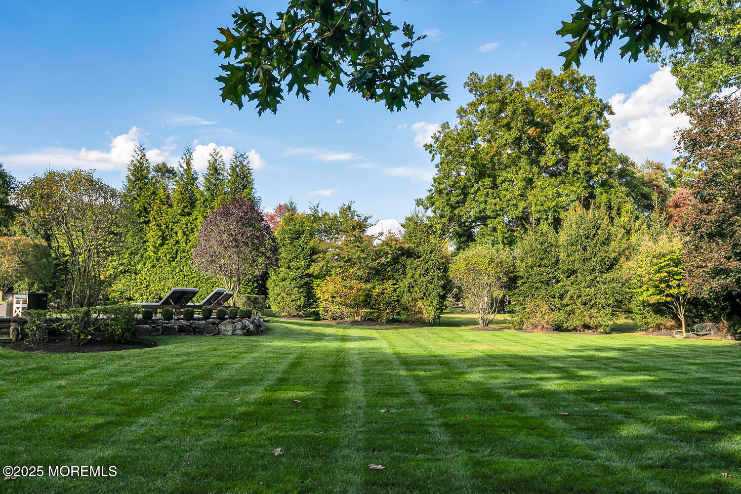 19 Old Phalanx Road Lincroft, NJ 07738 - Photo 34 of 34 a view of green field