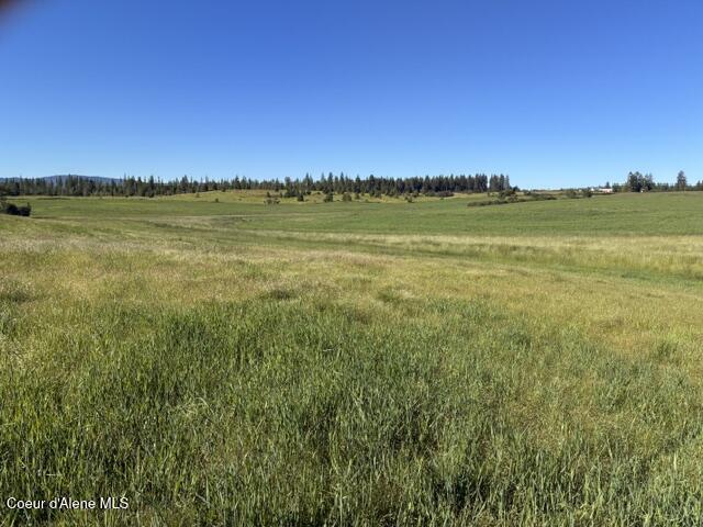 East Van Dusen Road Harrison, ID 83833 - Photo 3 of 13 IMG_4607