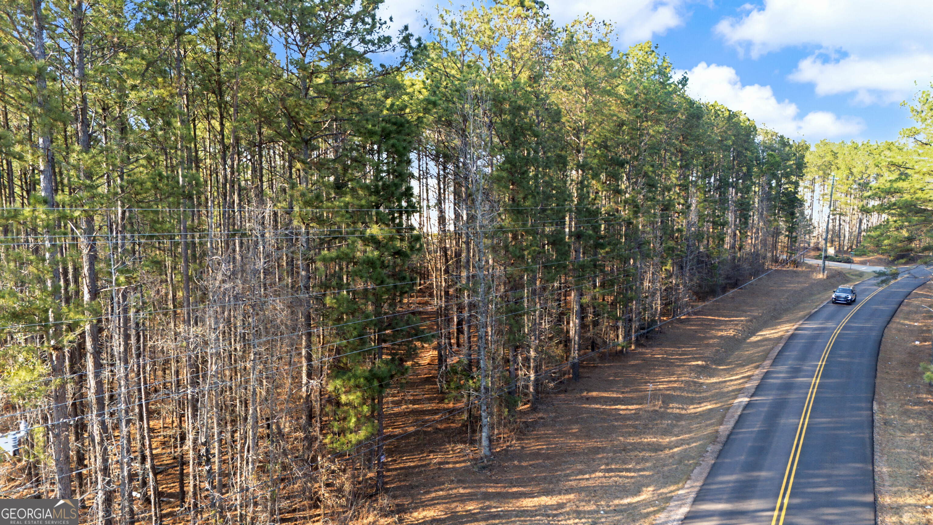 598 Pea Ridge Road Juliette, GA 31046 - Photo 14 of 18 a view of a pathway with a wrought fence