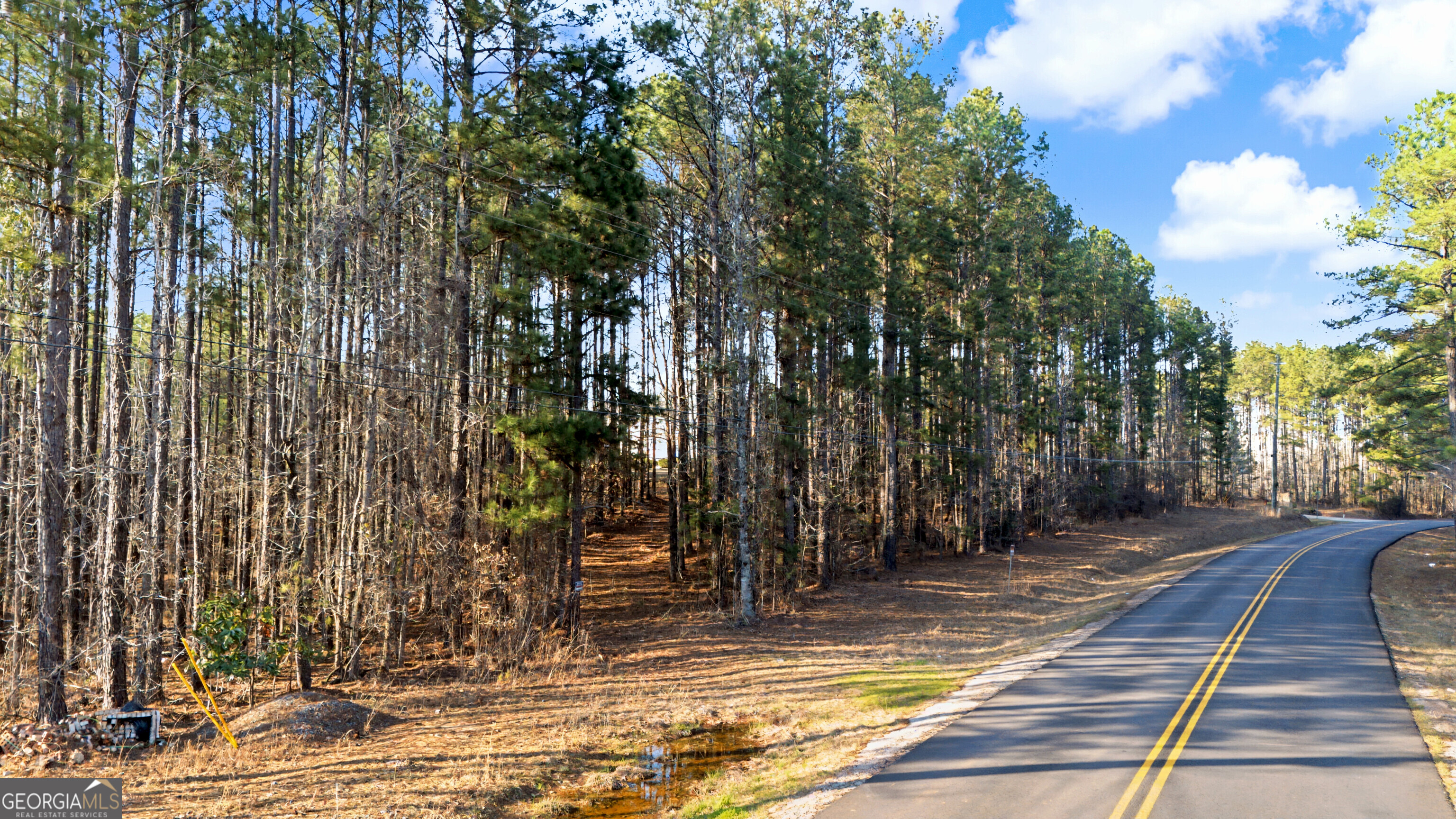 598 Pea Ridge Road Juliette, GA 31046 - Photo 15 of 18 a view of a backyard of the house
