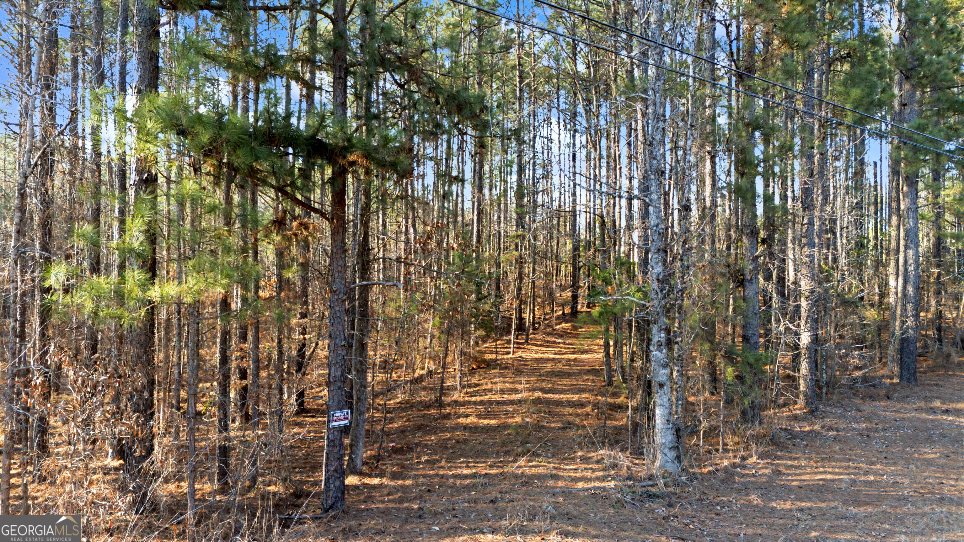 598 Pea Ridge Road Juliette, GA 31046 - Photo 16 of 18
