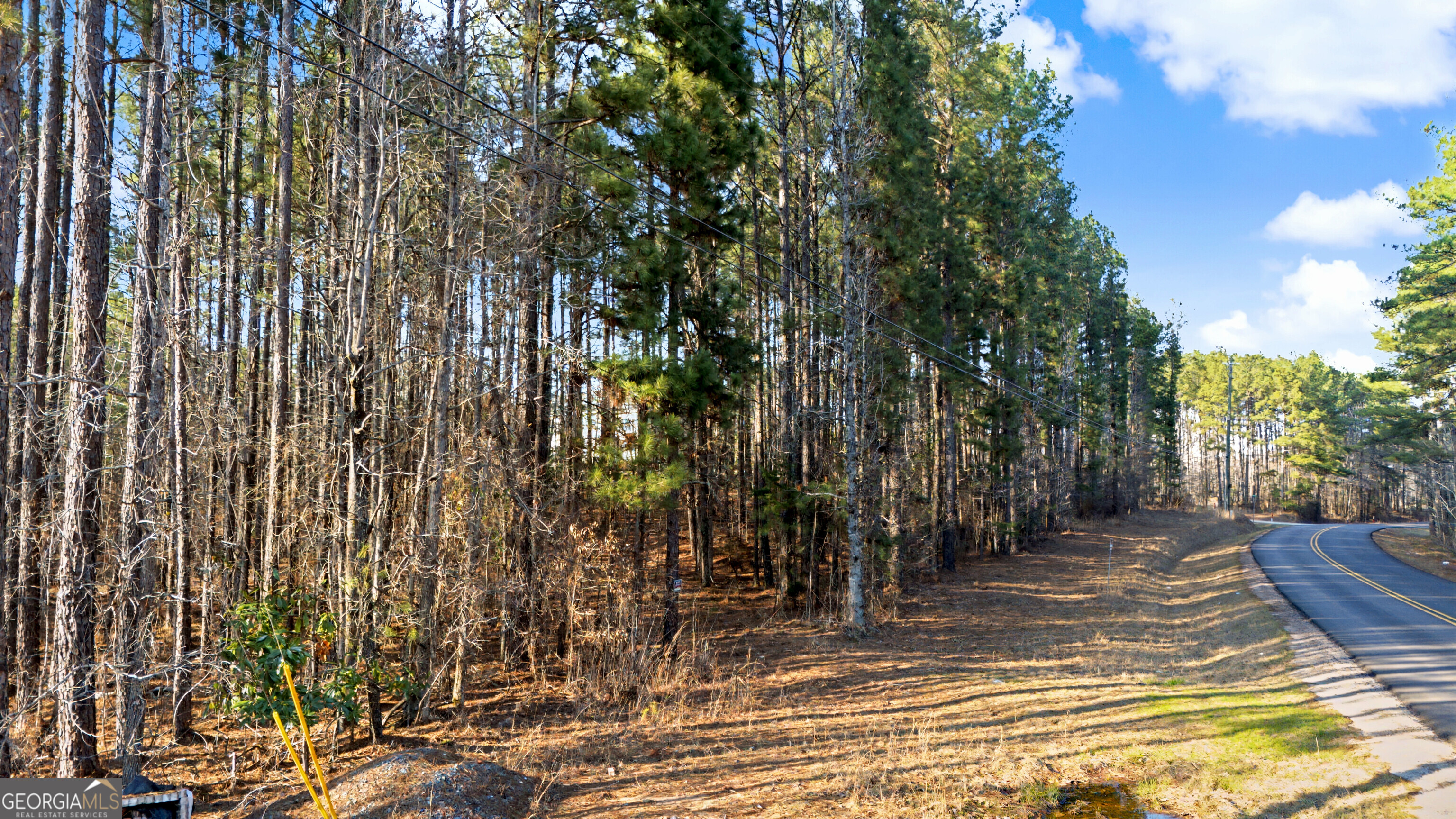 598 Pea Ridge Road Juliette, GA 31046 - Photo 17 of 18 a view of a backyard of the house