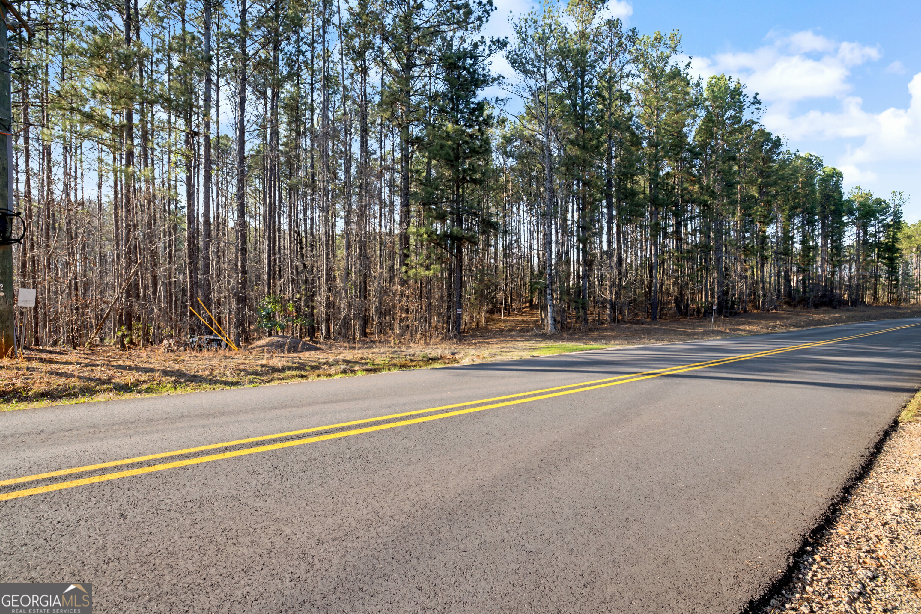 598 Pea Ridge Road Juliette, GA 31046 - Photo 3 of 18 a view of a house with a large trees