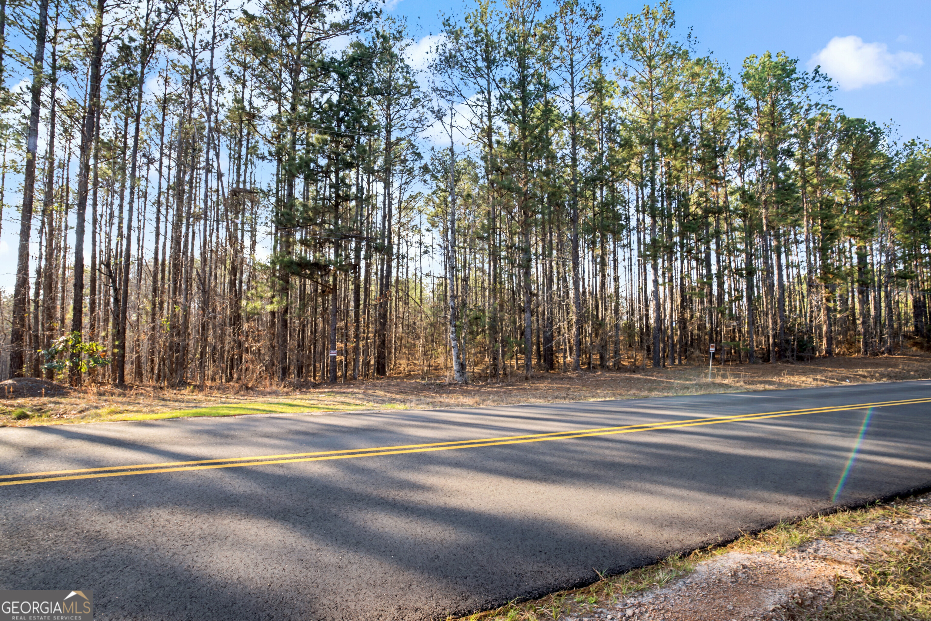 598 Pea Ridge Road Juliette, GA 31046 - Photo 4 of 18 a view of a yard in front of a house