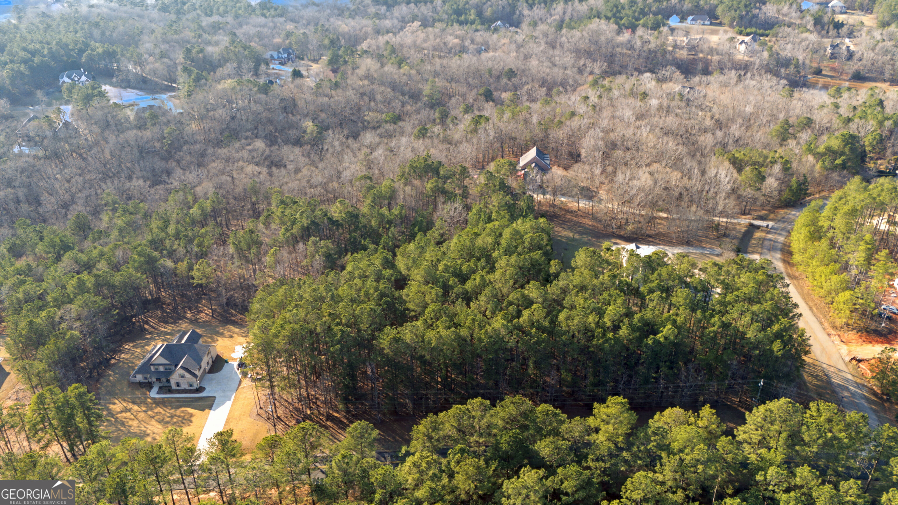 598 Pea Ridge Road Juliette, GA 31046 - Photo 6 of 18 a picture of flowers