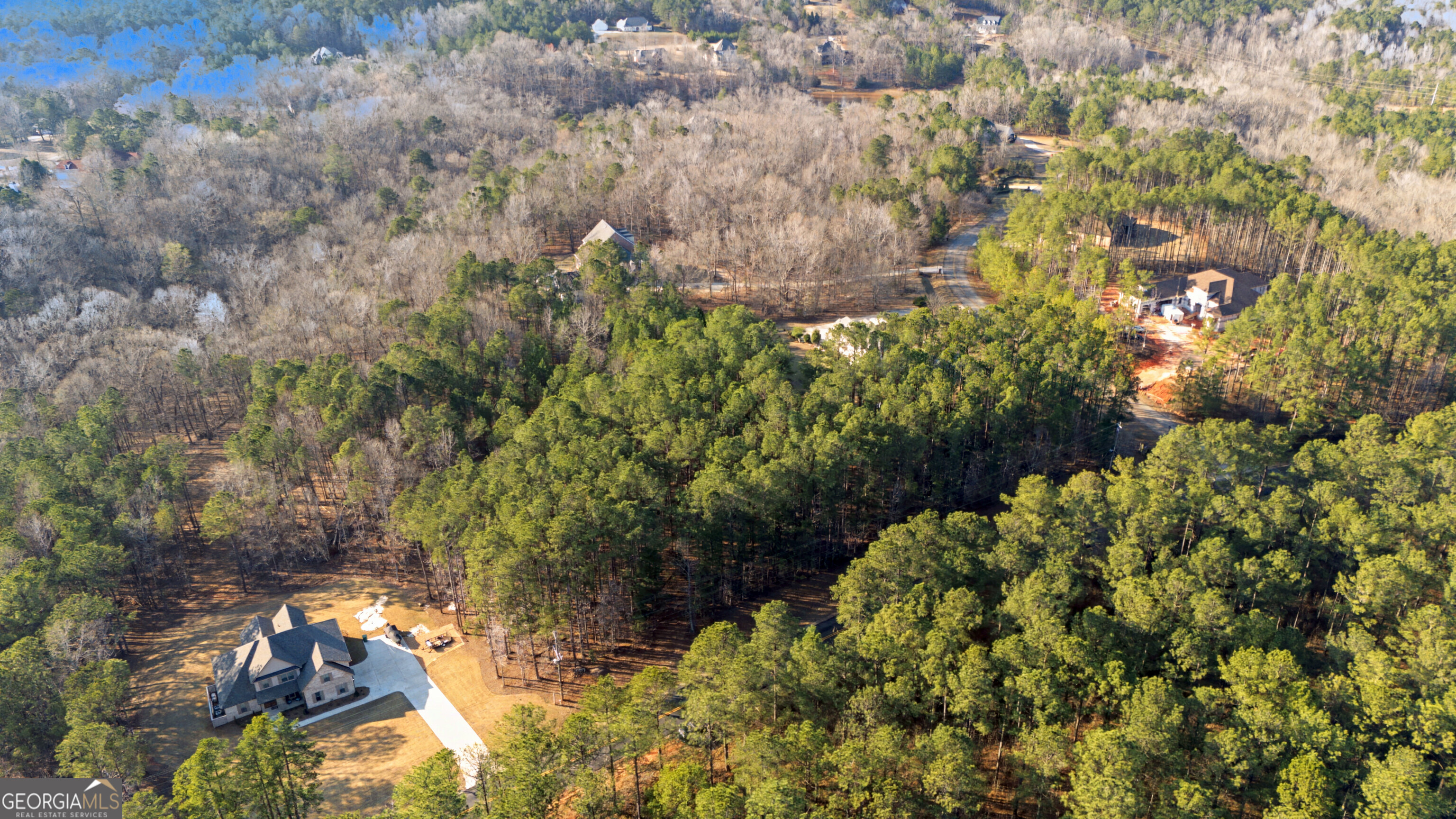 598 Pea Ridge Road Juliette, GA 31046 - Photo 7 of 18 a view of a garden with plants and trees