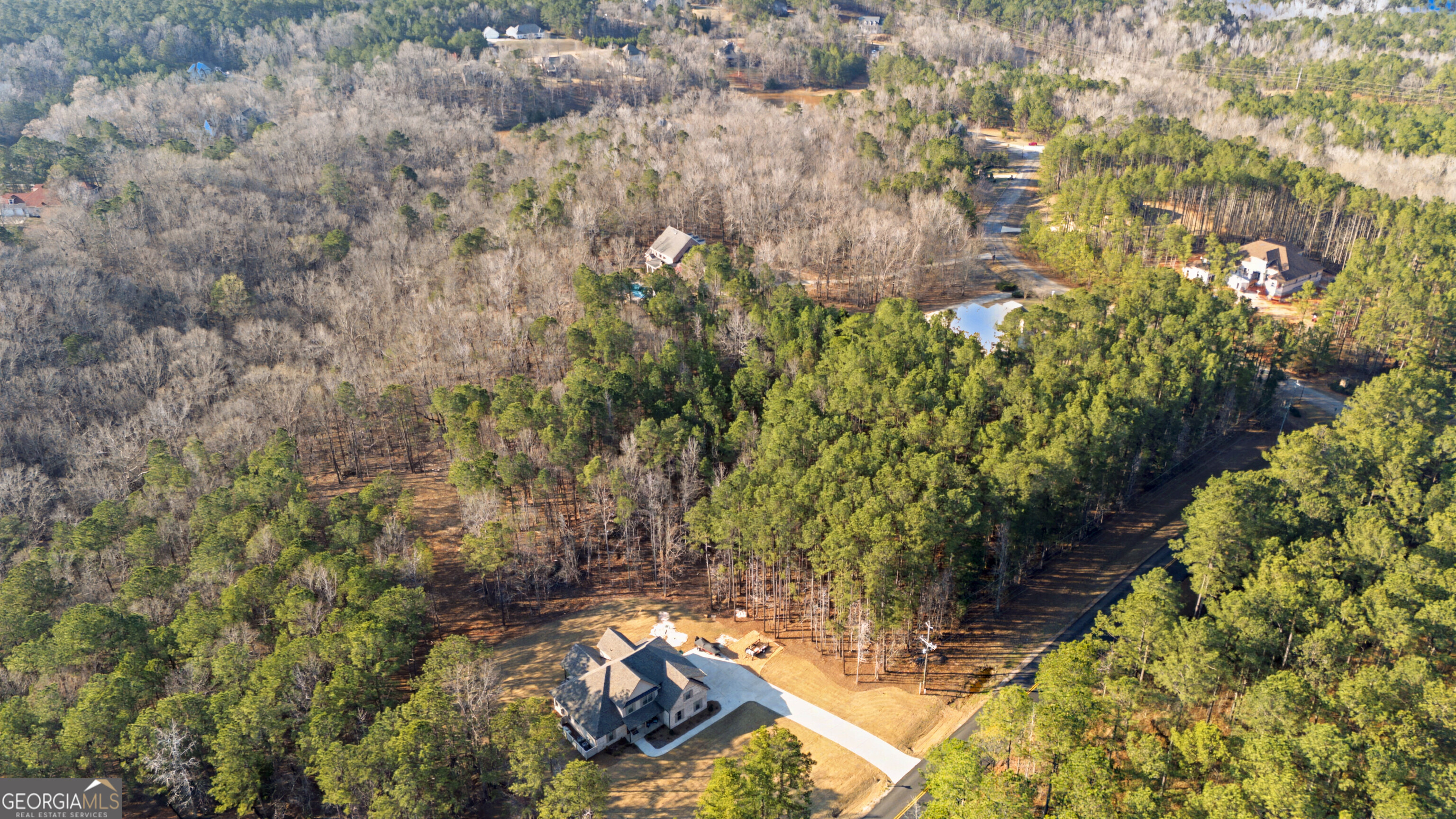 598 Pea Ridge Road Juliette, GA 31046 - Photo 8 of 18