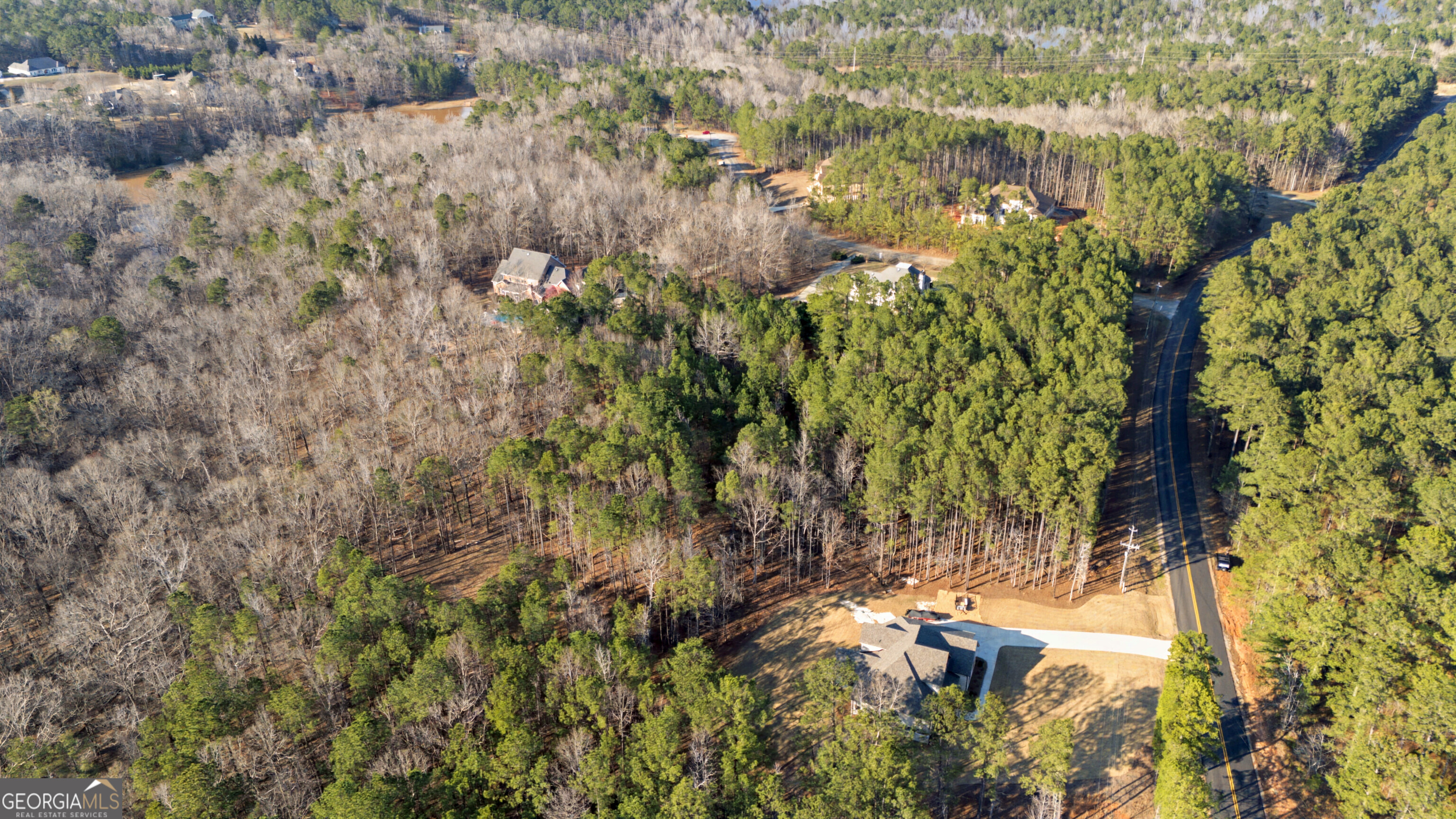 598 Pea Ridge Road Juliette, GA 31046 - Photo 9 of 18 a view of a yard with plants and tree