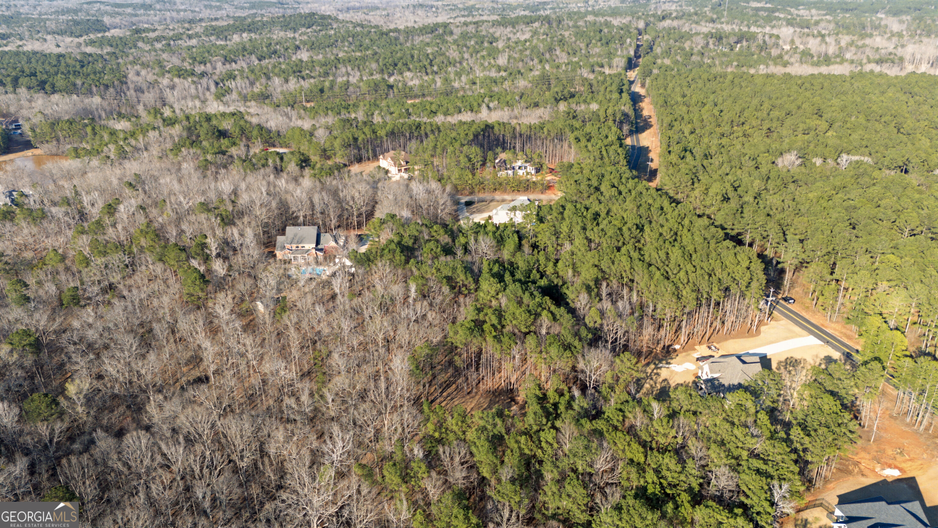 598 Pea Ridge Road Juliette, GA 31046 - Photo 10 of 18 a view of a lake with a city
