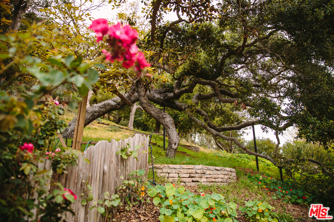 919 Rivas Canyon Road Pacific Palisades, CA 90272 - Photo 27 of 43 a flower garden with a tree in front of it