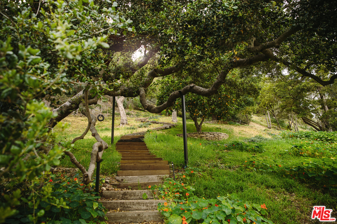 919 Rivas Canyon Road Pacific Palisades, CA 90272 - Photo 36 of 43 a view of yard