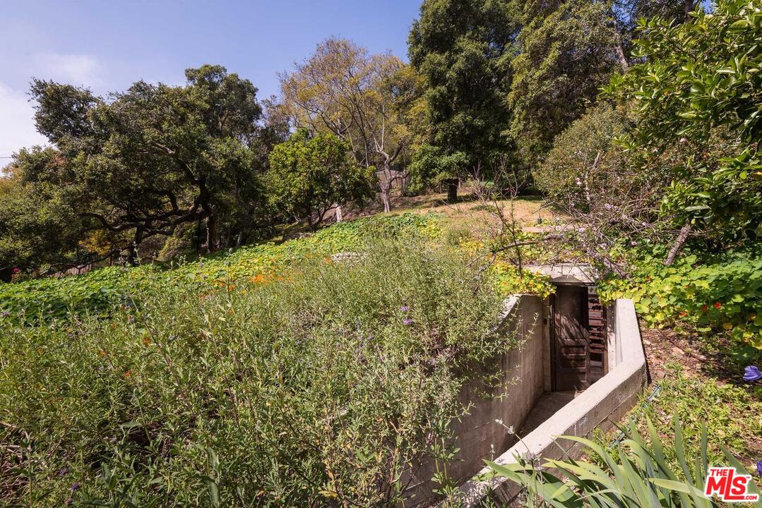 919 Rivas Canyon Road Pacific Palisades, CA 90272 - Photo 39 of 43 a view of a yard with plants and large trees