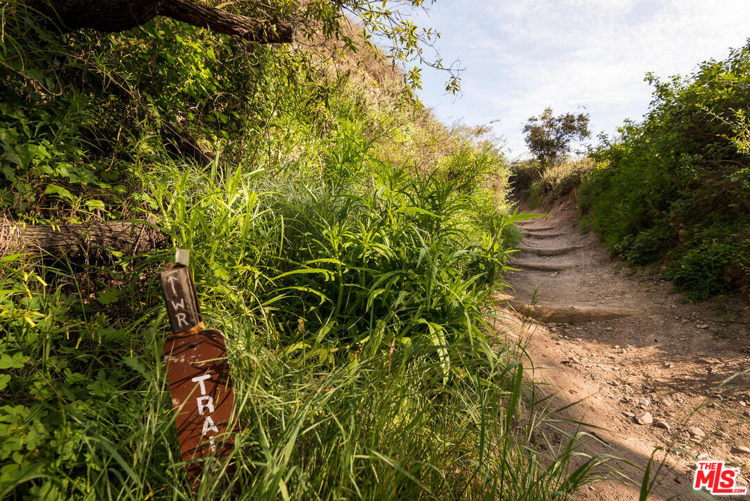 919 Rivas Canyon Road Pacific Palisades, CA 90272 - Photo 41 of 43 a view of a yard with plants and large trees