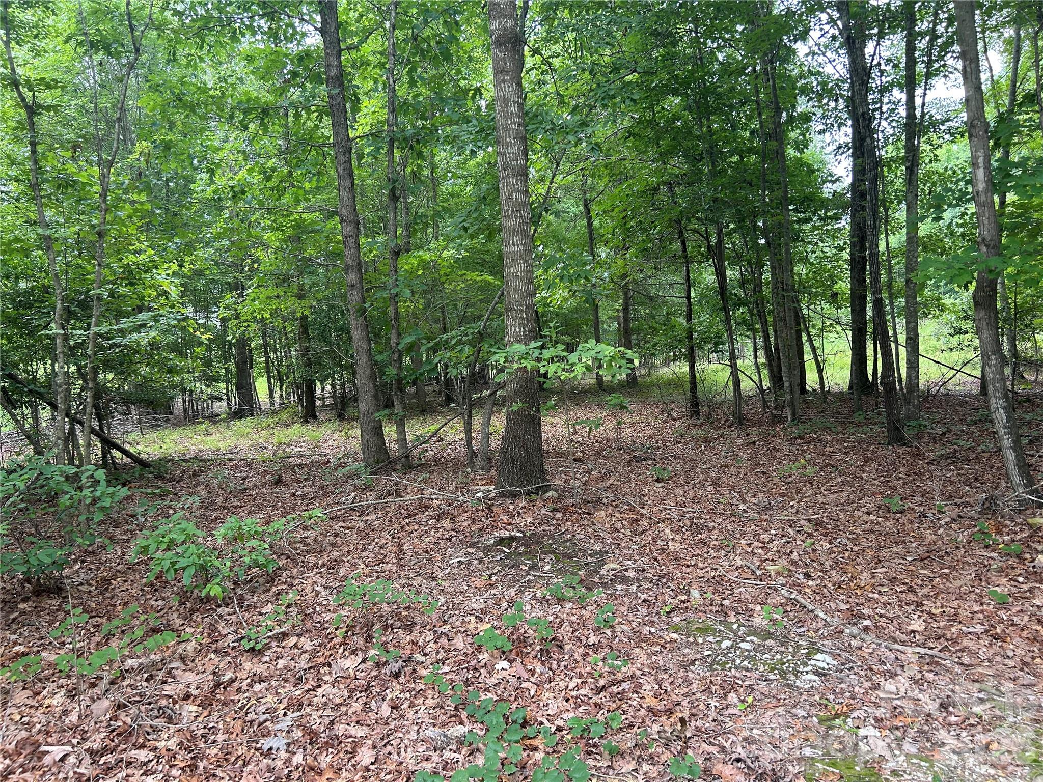 0 Wadeville Road Mount Gilead, NC 27306 - Photo 2 of 6 Gallery Image 2
