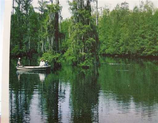 Cypress Lake Lucedale, MS 39452 - Photo 2 of 3 Additional Photo