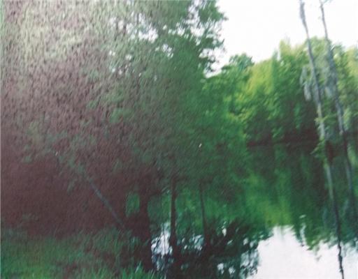 Cypress Lake Lucedale, MS 39452 - Photo 3 of 3 Additional Photo