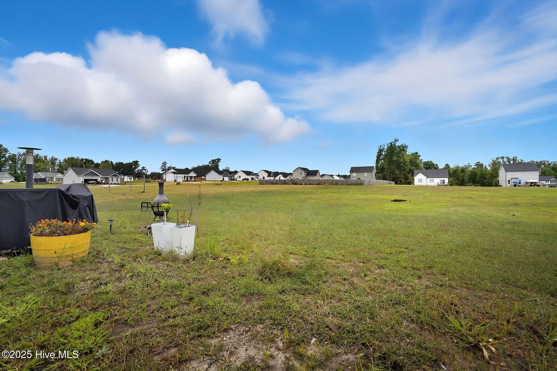 295 Springtooth Drive Zebulon, NC 27597 - Photo 28 of 36 26-web-or-mls-295 Springtooth Dr-119