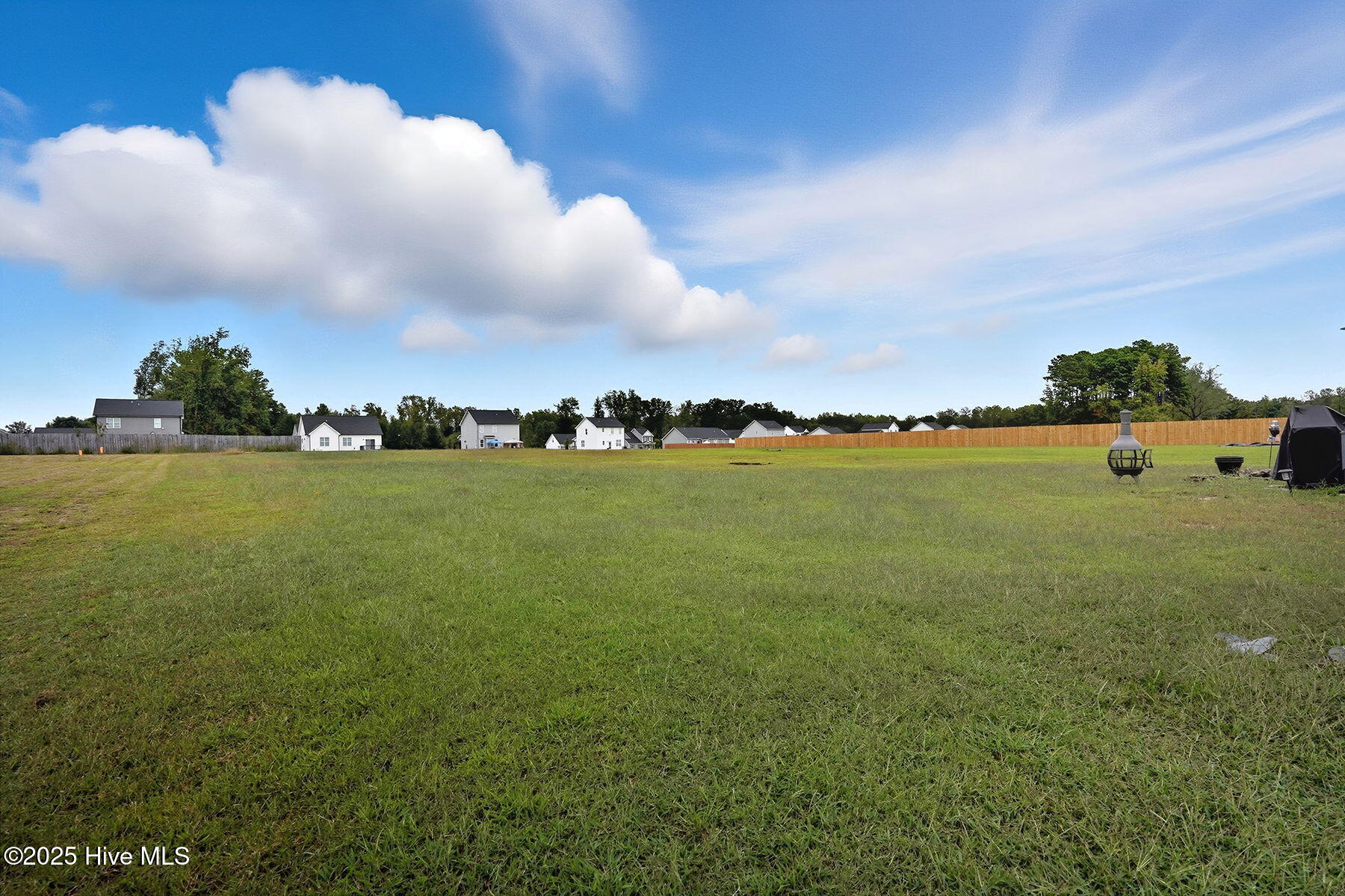 295 Springtooth Drive Zebulon, NC 27597 - Photo 32 of 36 30-web-or-mls-295 Springtooth Dr-139