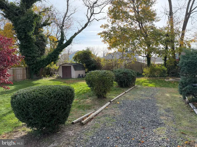 a view of a backyard with large trees