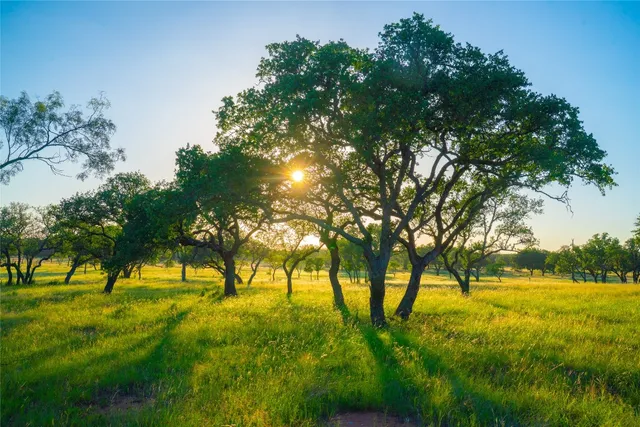 $790,304 | 0 Rolling Oaks Ranch, Johnson City, TX 78636