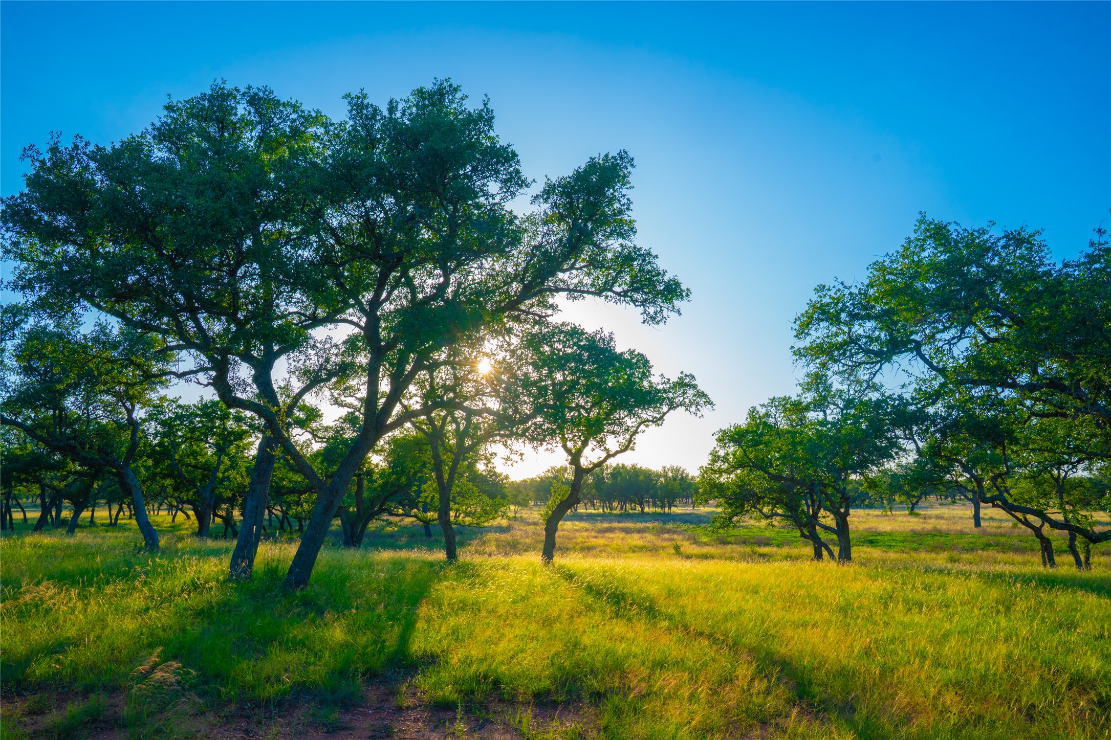 0 Rolling Oaks Ranch Johnson City, TX 78636 - Photo 11 of 30 a view of an outdoor space and swimming pool