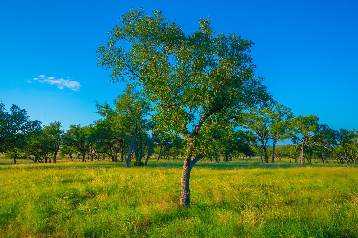 0 Rolling Oaks Ranch Johnson City, TX 78636 - Photo 12 of 30 a view of swimming pool with a yard