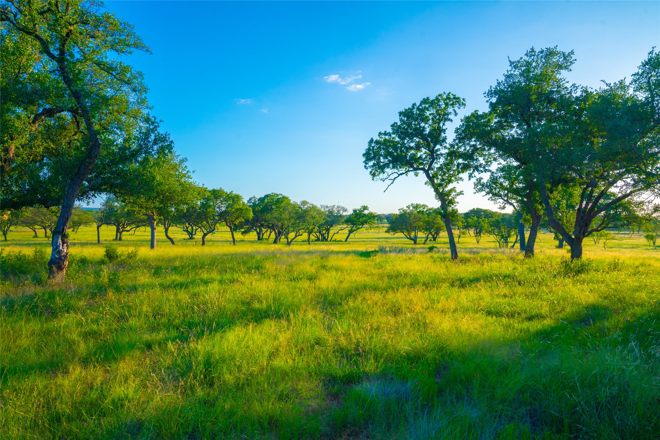 0 Rolling Oaks Ranch Johnson City, TX 78636 - Photo 13 of 30 a view of an outdoor space and a yard