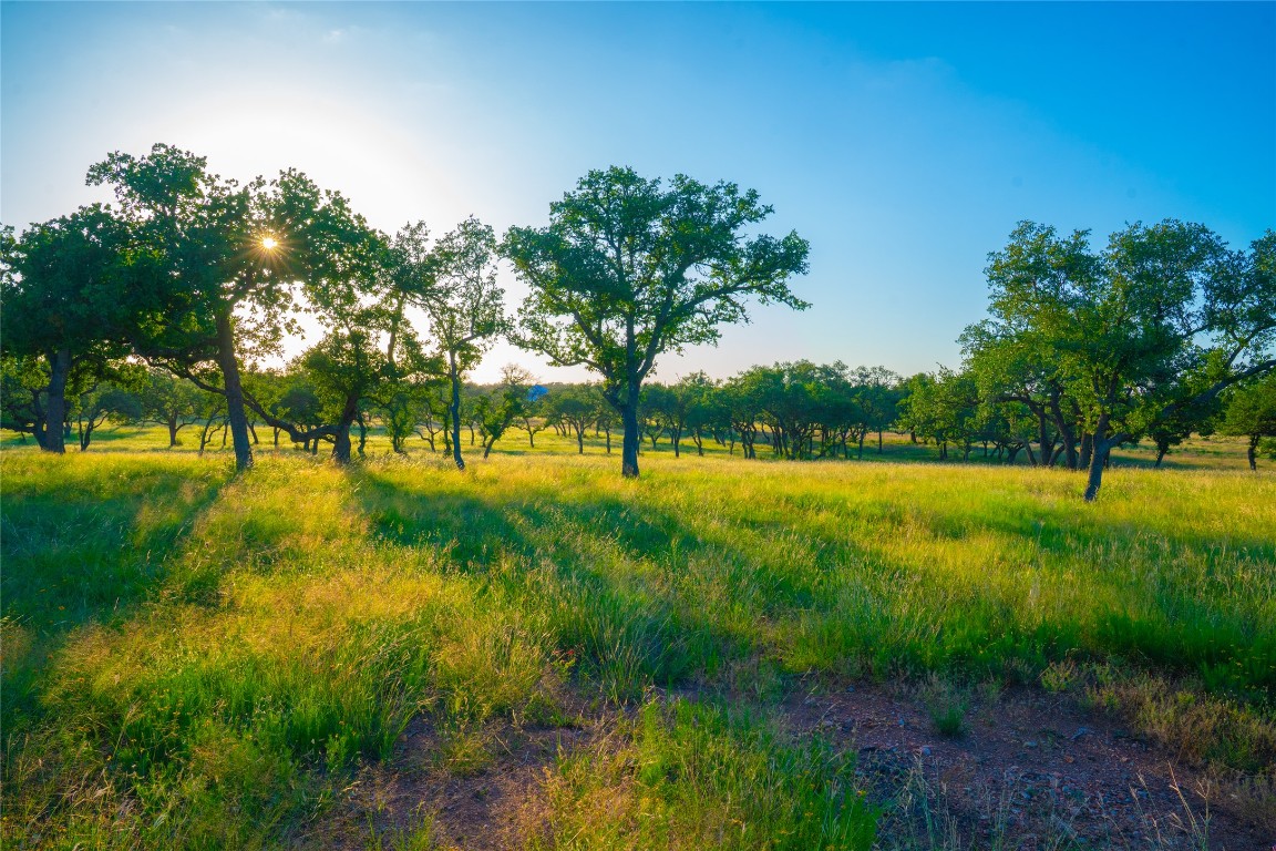0 Rolling Oaks Ranch Johnson City, TX 78636 - Photo 15 of 30 a view of an outdoor space and a yard